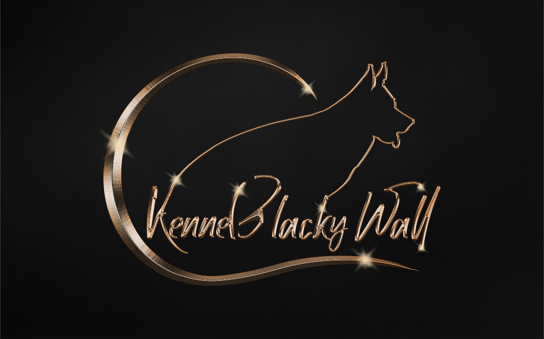 Picture of vom Blacky Wall 