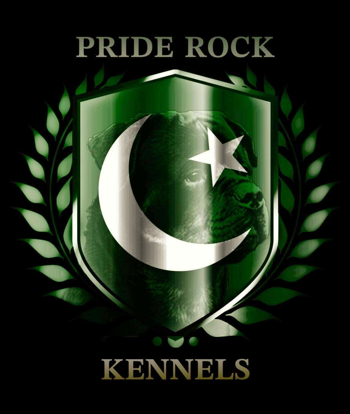 Picture of Pride Rock 