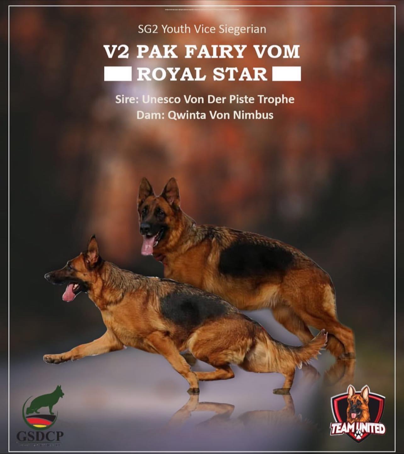 Fairy vom Royal Star
