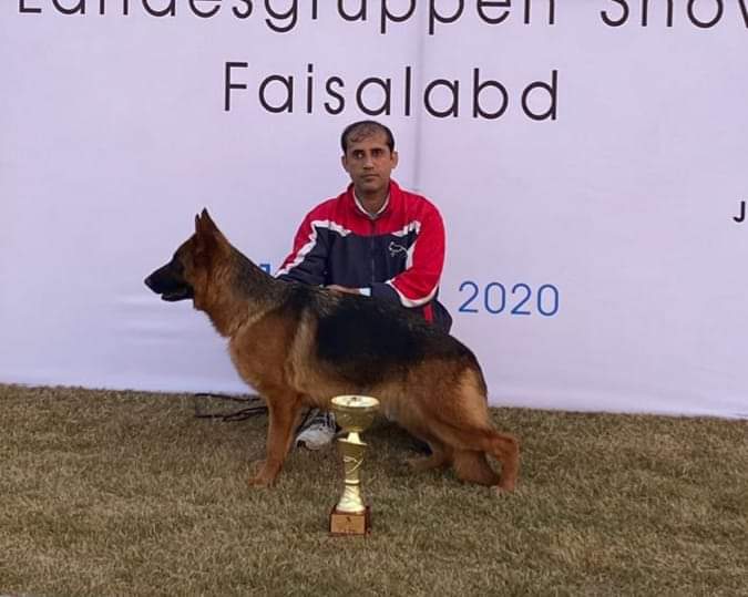 https://www.gsdcp.org/public/members/profile_pic/1714669728.IMG-20240422-WA0351.jpg